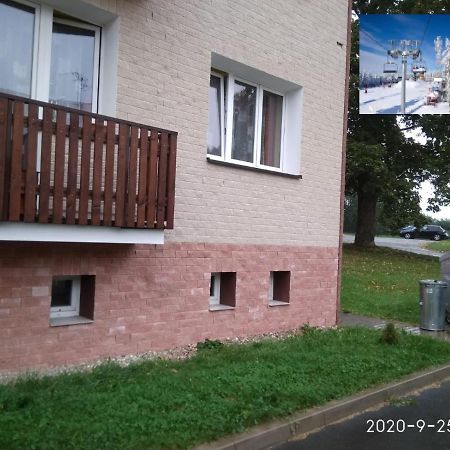 Plne Vybaveny 2+1Byt S Balkonem A Koji Pro Kola A Lyze. Rokytnice v Orlických Horách エクステリア 写真