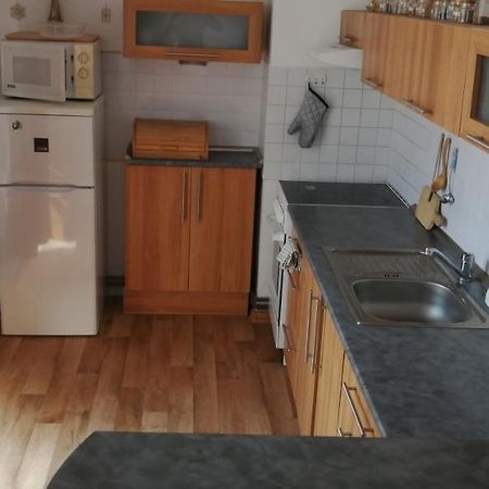 Plne Vybaveny 2+1Byt S Balkonem A Koji Pro Kola A Lyze. Rokytnice v Orlických Horách エクステリア 写真