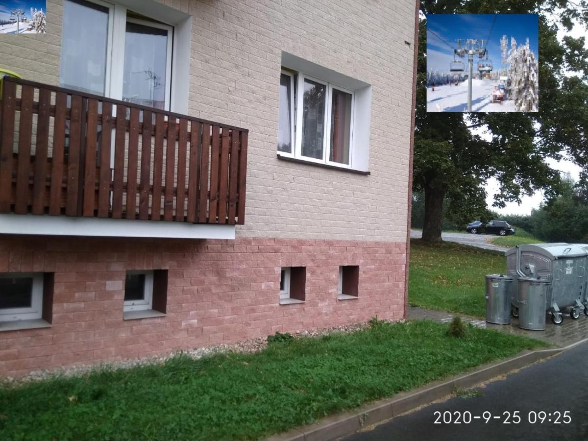 Plne Vybaveny 2+1Byt S Balkonem A Koji Pro Kola A Lyze. Rokytnice v Orlických Horách エクステリア 写真