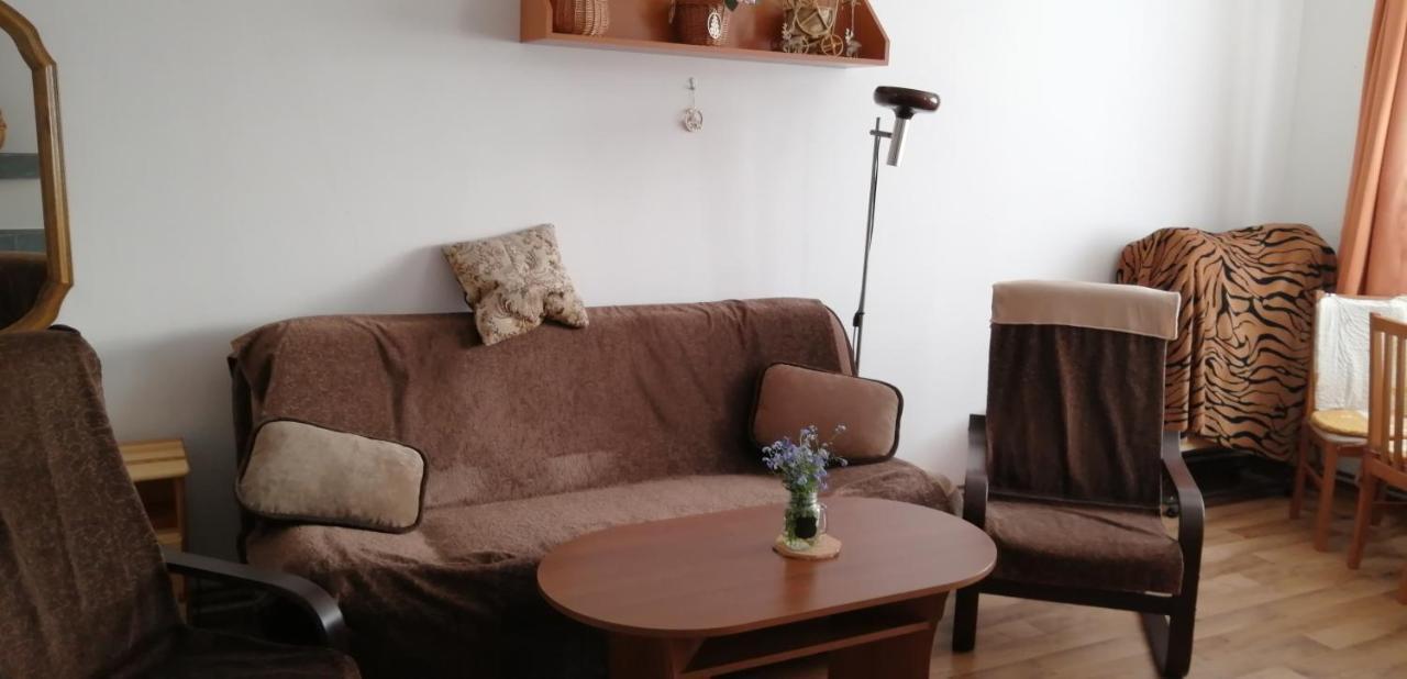 Plne Vybaveny 2+1Byt S Balkonem A Koji Pro Kola A Lyze. Rokytnice v Orlických Horách エクステリア 写真